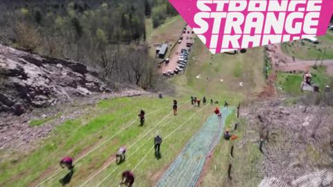 People running up a hill