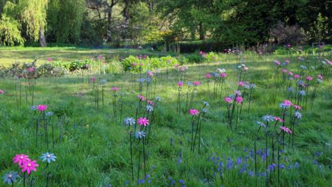 An abundance of the handcrafted steel daisies in a green field, surrounded by trees. They range from pink and blue and are grouped together in a number of arrangements.