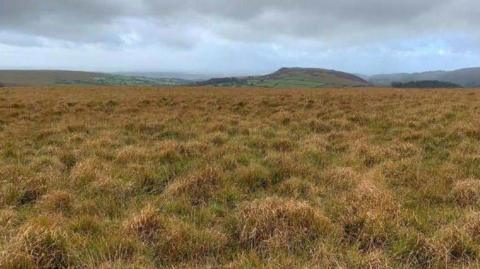 Land on Dartmoor on a cloudy day.