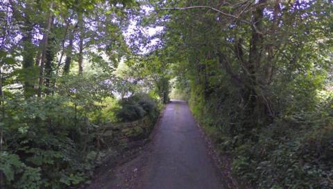 Rural lane