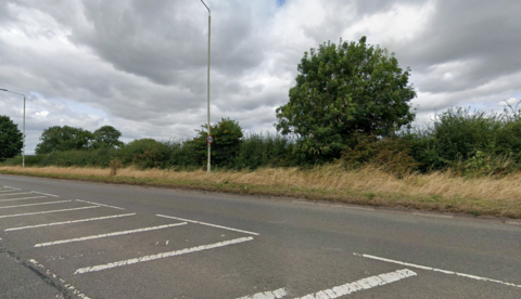 A hedge by a roadside