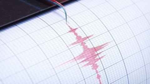 The photo shows a needle which is recording a series of jagged, up-and-down squiggly lines on a moving roll of paper in red ink.
