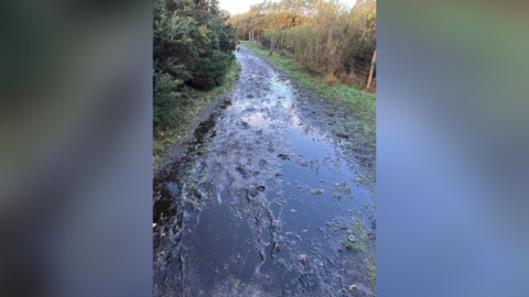 A very muddy footpath with lots of puddles surrounded by trees. 