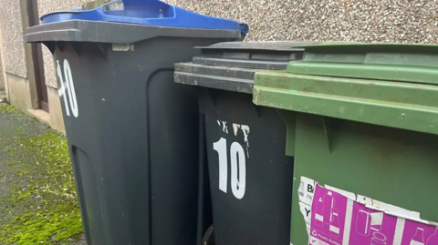 Two grey bins and a green one are lined up on a mossy path outside a pebble-dashed house. The bin in the middle has 10 written on it in white letters. 