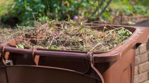 A garden waste bin 