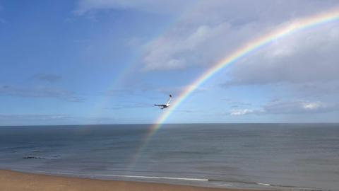 Double rainbow over the sea as a seagull flies past