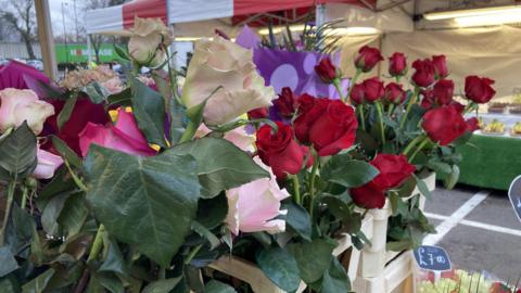 Flowers at Northampton market