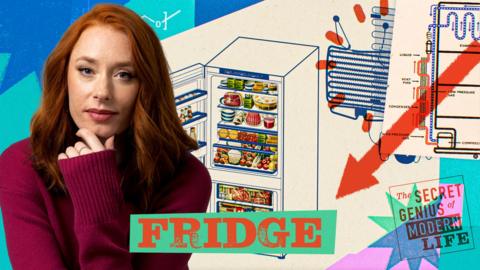 The Secret Genius of Modern Life: Fridge 