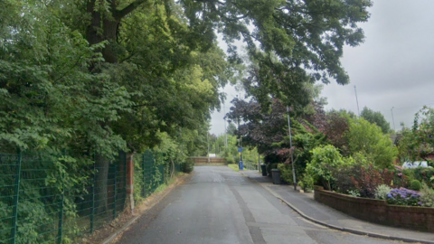 A screenshot from Google Streetview of a residential street with trees on either side. 