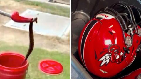A splitscreen of a snake being lifted up with grabbers and a football helmet on the right.