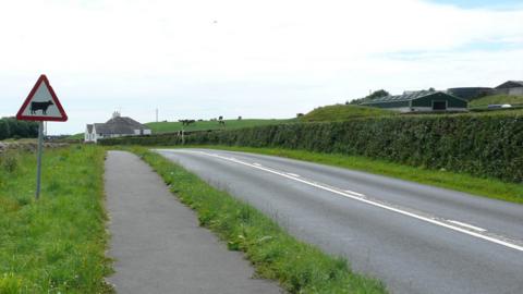 A rural road in the south of Scotland with a sign warning of cattle beside it and a pathway running next to it. There is a white cottage in the distance and some farm buildings off to the right.