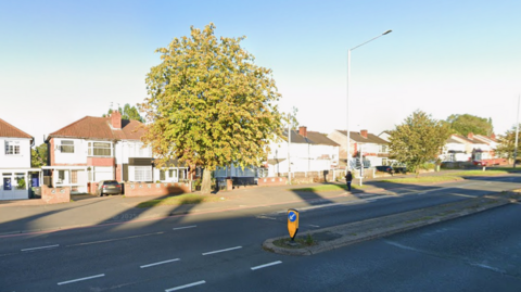 A road with residential houses and a large tree.