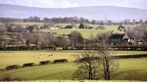 Fields with sheep grazing and a few houses.