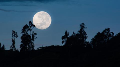 moon in the night sky.