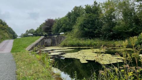 A photograph of Rushall lock flight showing the canal towpath to the left, canal water to the fore and the closed lock gates away in the distance. Trees line both sides of the canal, which is empty of boats