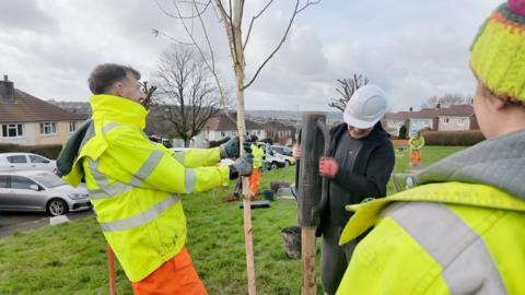 A group of people are planting a tree on a green space on a housing estate in Plymouth. Some are wearing hard hats, others are in high-viz jackets. In the foreground, a man is holding a tree upright while another hammers in a wooden post that will hold the tree upright.