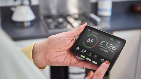 A woman's hands holding an energy smart meter