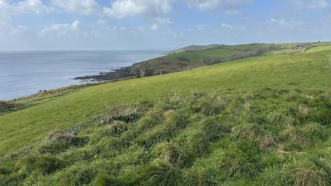 A field is in the foreground and stretches out to reveal the coast and a couple of headlands