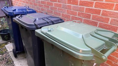 Wheelie bins next to a brick wall