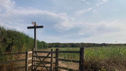 A turnstile and wooden signpost pointing to a field with long grass, a tall hedge to the left and trees in the distance