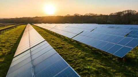Rows of solar panels in a field. The sun is setting in the background.