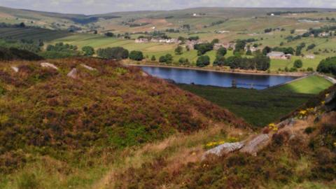 A reservoir sits in a valley. The hills around it are picturesque and sunlit.