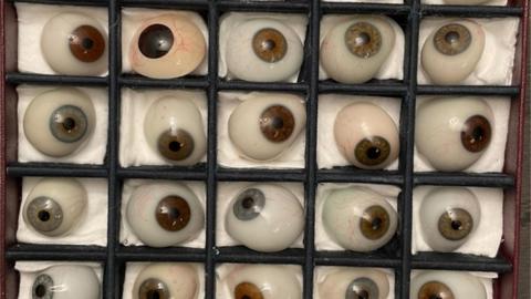 A maroon box with small black walls. Each small box within the box have a glass eye inside. The eyes are all facing different ways and are different colours including blue, green and brown. 