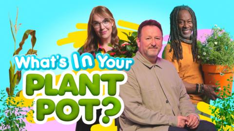What's in Your Plant Pot?