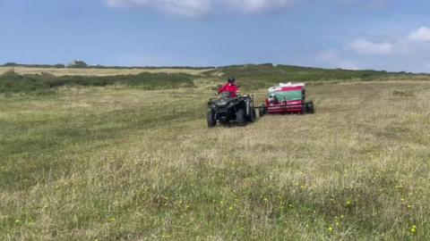 A photo of green land in Cornwall. Green grass is covering most of the photo, with blue sky with some clouds in the corners. A woman is riding a four-by-four buggy which is pulling a trailer behind her filled with seeds. She is wearing a helmet and looking behind her.