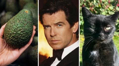 Three images edited together showing a hand holding an avocado pear, actor Pierce Brosnan as James Bond and a black cat