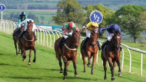 A horse race with five brightly-dressed jockeys racing brown horses down the grassy track. The course is bordered by a white barrier. There are rolling fields in the background.