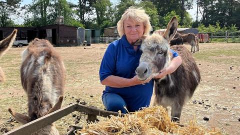 A woman cuddles one of her donkeys while she kneels in front of a manger of straw that another animal is eating. The woman has blonde hair and is wearing a blue polo shirt.