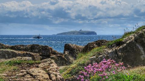 Isle of May seen from a coastal path