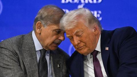 पाकिस्तानी पीएम शहबाज शरीफ अमेरिका दौरे पर, ट्रंप के 'बोर्ड ऑफ पीस' में शामिल, US नेताओं से की मुलाकात