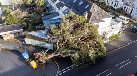 The picture shows a large tree that has been uprooted and fallen across a residential street. The tree is lying on its side, with its roots exposed and tangled near the pavement. Its branches and foliage cover a significant portion of the road and lean against a house, which appears to have a slate roof and white walls. The fallen tree has also damaged a metal fence and is resting near two wheelie bins, one blue and one yellow, positioned at the corner of the street.