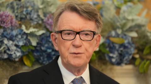 Peter Mandelson looks off into the distance
