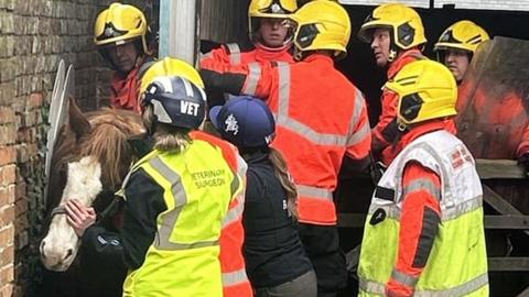 Emergency crews trying to rescue a horse stuck between a wall and building