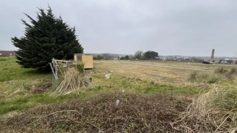 A fallow field surrounded by bracken, trees and an old temporary building.
