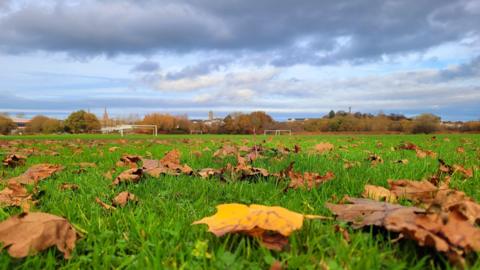 A vibrant picture of a rugby pitch taken from ground level - the grass and autumnal leaves lying on the ground are at the forefront of the image while the goal posts and bushes can be seen in the background. The sky is blue but there are clouds looming.