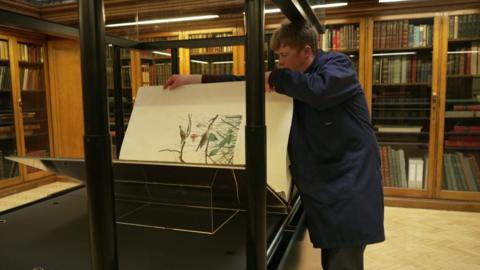 A library worker in a blue overcoat turning a page of one of the huge volumes of Birds Of America while it sits in its glass case at Liverpool Central Library. 