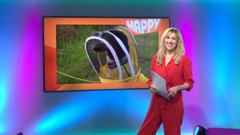 Jenny on the Newsround set