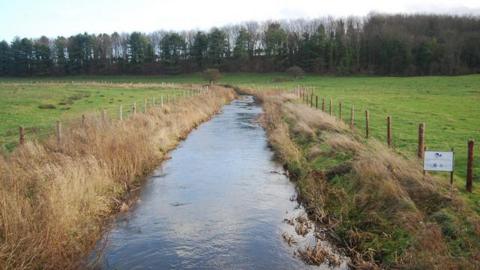 River Stiffkey in 2014