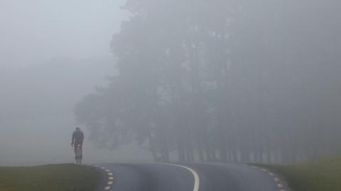 Back of cyclist on road in foggy conditions. Trees are on the right.