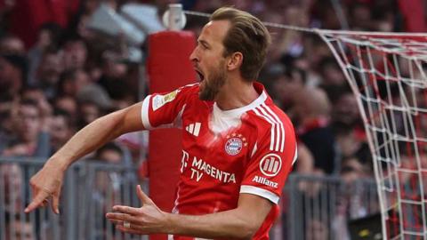 Harry Kane celebrates 