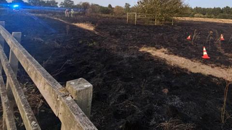 Blackened fields on a sunny evening with trees and firefighters in the distance.