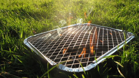 A disposable barbecue pictured in a park