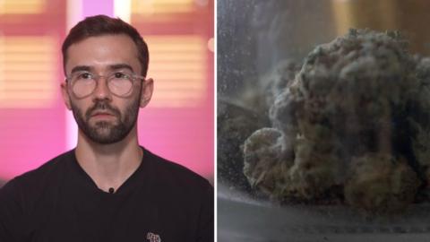 A side-by-side image of a man with short brown hair and clear glasses and a bud of cannabis, which is a green-grey colour and behind some glass