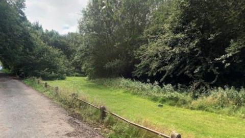 A wooded area and path in Pleck Park, Walsall. 