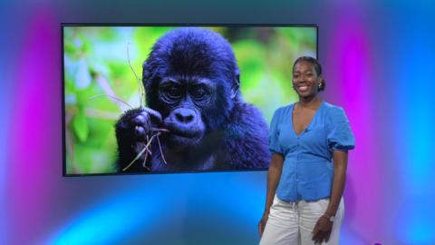 Shanequa on the Newsround set