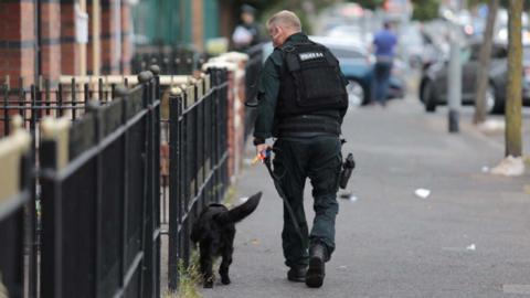 A policeman walks with a black police dog along a row of houses in north Belfast. The dog is sniffing along black iron fences.